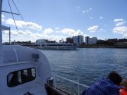 MSG_Polizeiboot_2017_gr_034.jpg
