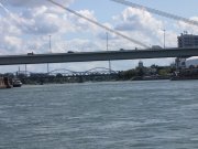MSG_Polizeiboot_2017_gr_051.jpg