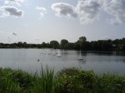 M_Boot_Regatta_gr_002.jpg