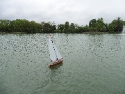 Schaufahren_2017_gr019.jpg