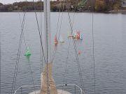 MSG_gr_0041.jpg