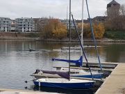 MSG_gr_0048.jpg