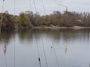 MSG_gr_0053.jpg