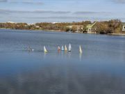MSG_gr_0071.jpg