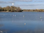 MSG_gr_0076.jpg