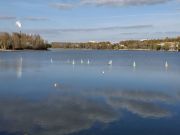 MSG_gr_0080.jpg