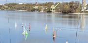 MSG_gr_0091.jpg