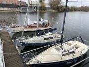 MSG_gr_0100.jpg