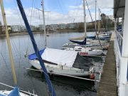 MSG_gr_0101.jpg
