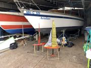 MSG_gr_0120.jpg