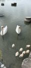 MSG_gr_0064.jpg