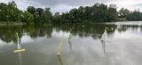 MSG_gr_0071.jpg