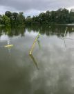MSG_gr_0072.jpg