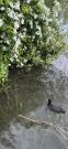 MSG_gr_0073.jpg