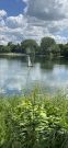 MSG_gr_0080.jpg