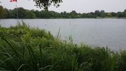 MSG_gr_0101.jpg