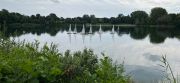 MSG_gr_0112.jpg