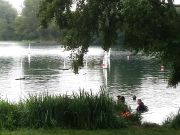 MSG_gr_0138.jpg