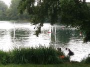 MSG_gr_0139.jpg
