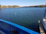 MSG_gr_0016.jpg