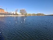 MSG_gr_0025.jpg