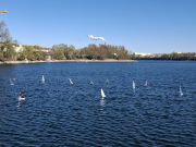 MSG_gr_0029.jpg