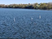 MSG_gr_0032.jpg