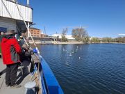 MSG_gr_0035.jpg