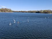 MSG_gr_0036.jpg
