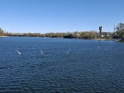 MSG_gr_0037.jpg