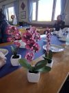 MSG_gr_0048.jpg