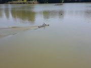 MSG_gr_0010.jpg