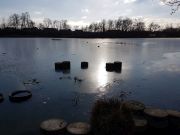 MSG_gr_0010.jpg