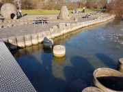 MSG_gr_0011.jpg