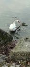 MSG_gr_0033.jpg