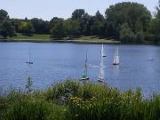 MSG_gr_0052.jpg
