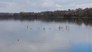 MSG_gr_0032.jpg