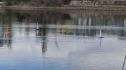 MSG_gr_0033.jpg