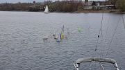 MSG_gr_0035.jpg